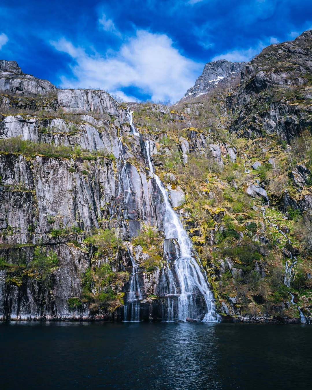 Fjord Cruise Vesterålen i Trollfjorden i Vesterålen