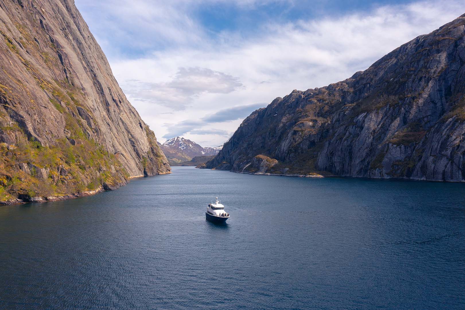 Fjord Cruise Vesterålen i Trollfjorden i Vesterålen